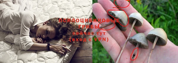 метадон Арсеньев