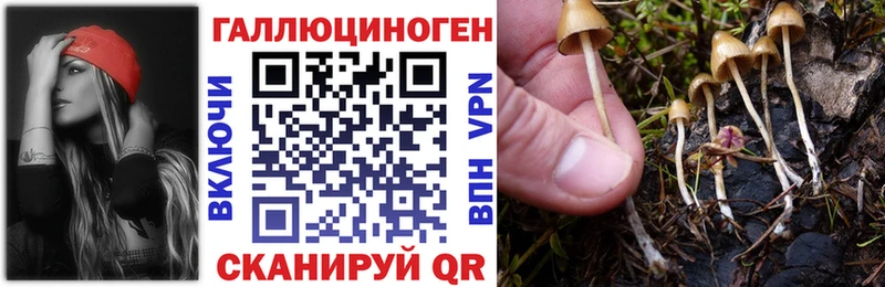 Галлюциногенные грибы Cubensis  ссылка на мегу онион  Наволоки 